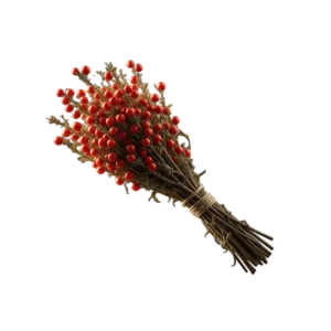 Ephedra Herb