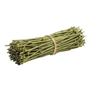 Ephedra Somakalpa