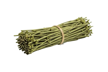 Ephedra Somakalpa
