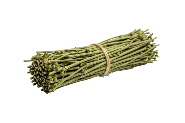 Ephedra Somakalpa