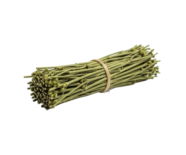 Ephedra Somakalpa
