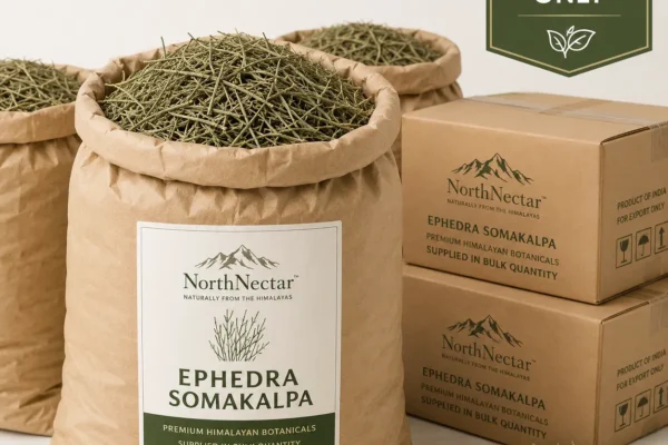 NorthNectar Premium Ephedra Somakalpa Himalayan botanical raw herb supplied in bulk quantity from Pakistan