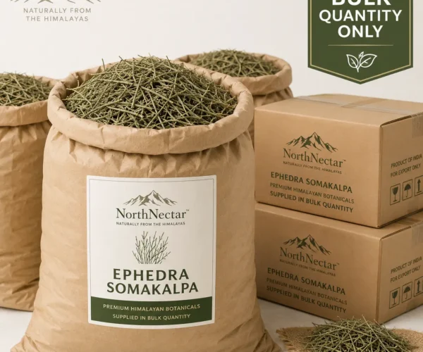 NorthNectar Premium Ephedra Somakalpa Himalayan botanical raw herb supplied in bulk quantity from Pakistan